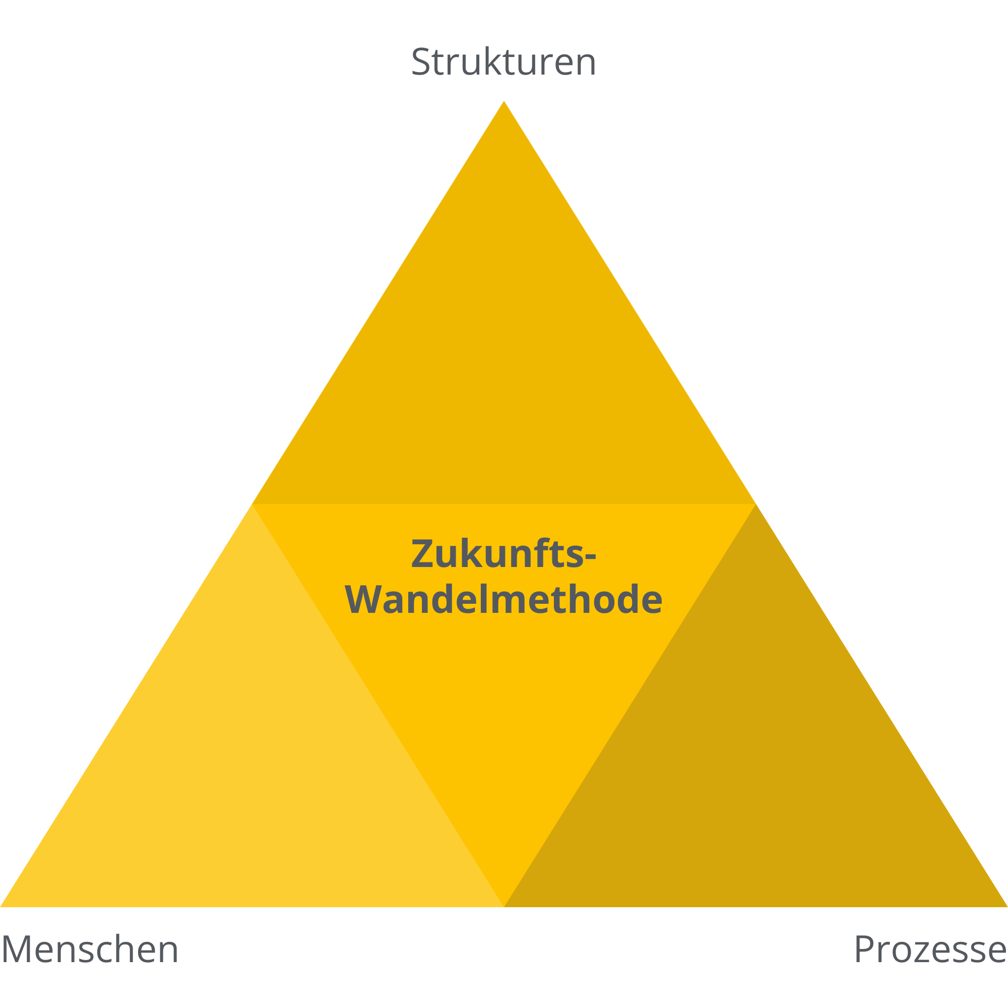 Zukunftswandel-Methode: Menschen, Strukturen, Prozesse